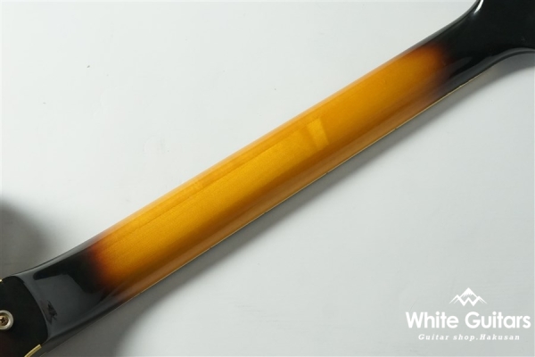 Aria Pro II CA-100-S SB